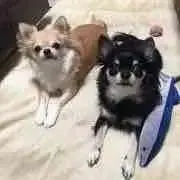 ACE&Saboの画像