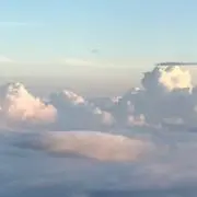 ハッピーの画像
