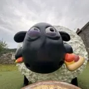 osomaの画像