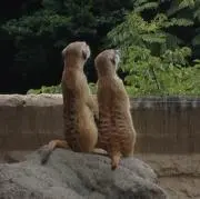 ソーナ