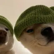 ★の画像