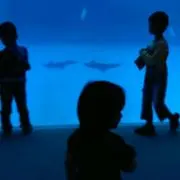 きりん