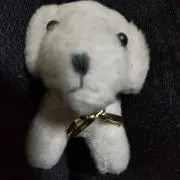 ミミの画像