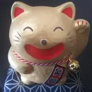 のんの画像