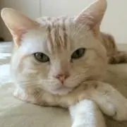 naoyuki