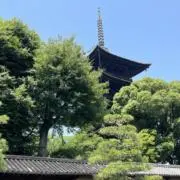 リナリナ0502の画像