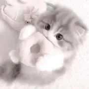 らのの画像