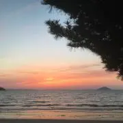 わいの助の画像