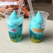 まこと