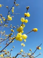 1回笑ったら3分長生きするんだの画像