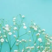 ここ▶プロフ必読◀の画像