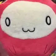 daichi
