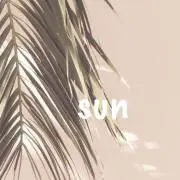 SUN⭐︎の画像