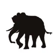 Image of カネシゲ
