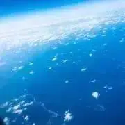 なさの画像