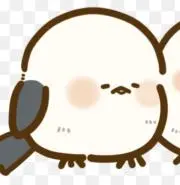 りりーの画像