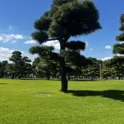 grimokoの画像