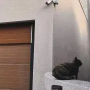 こここ