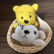 りんご☆の画像
