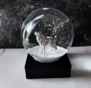 SnowGrobe_Tsuguneの画像