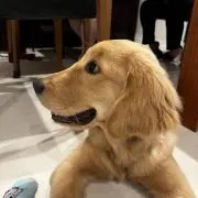 まぁなぁ
