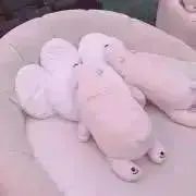 み  プロフィール必読の画像