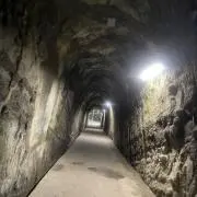 おはぎの画像