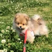 ふぉーるど❤︎