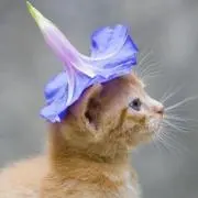 beccaの画像