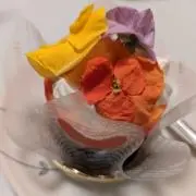 兎の画像