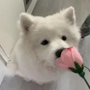 ♡♡♡の画像