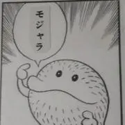 kogの画像