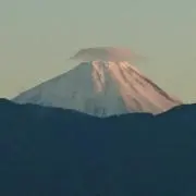 みやばらの画像