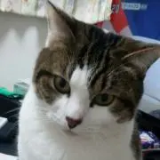 yumiiの画像
