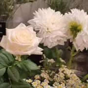 花の画像
