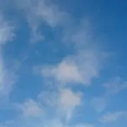 きのも