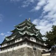 バニラの画像