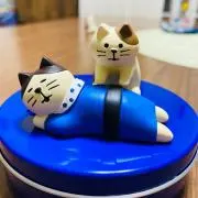 ミーの画像
