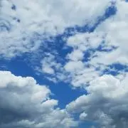 トーイラーの画像