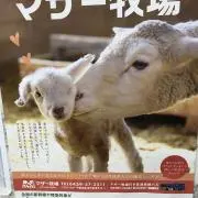 プロフィール必読ニャン❤︎の画像