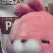 ぽんたの画像