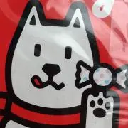 やん