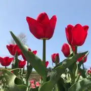 ななままの画像