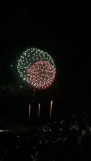 ひまわりの画像