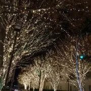 ☆K&Rのママ