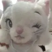 nの画像