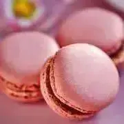 ちょこの画像