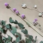 りんの画像