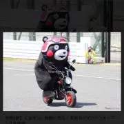 黒熊の画像