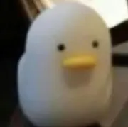 ゆき